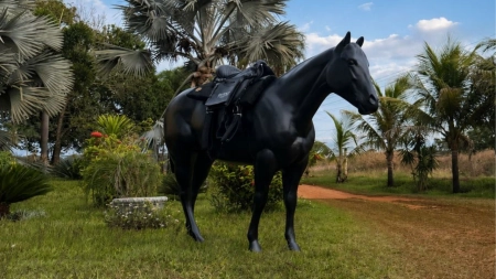 Cavalos chamam atenção em Goiânia e despertam curiosidade sobre novo empreendimento inspirado no lifestyle texano