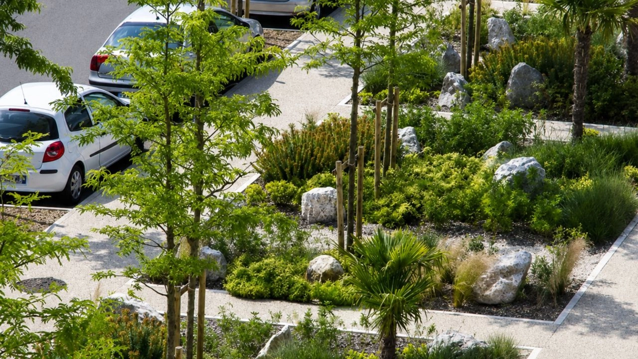 Goiânia aposta em jardins de chuva para melhorar drenagem e ampliar áreas verdes da cidade