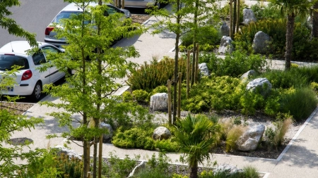 Goiânia aposta em jardins de chuva para melhorar drenagem e ampliar áreas verdes da cidade