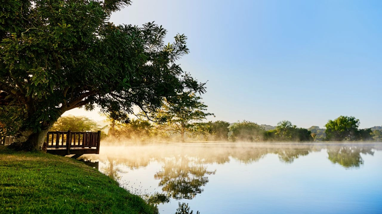 Nova etapa da Fazenda Lumiar chega ao mercado nos dias 30 de junho e 1º de julho