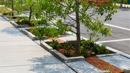Por que jardins de chuva, sozinhos, não resolvem os problemas urbanos?
