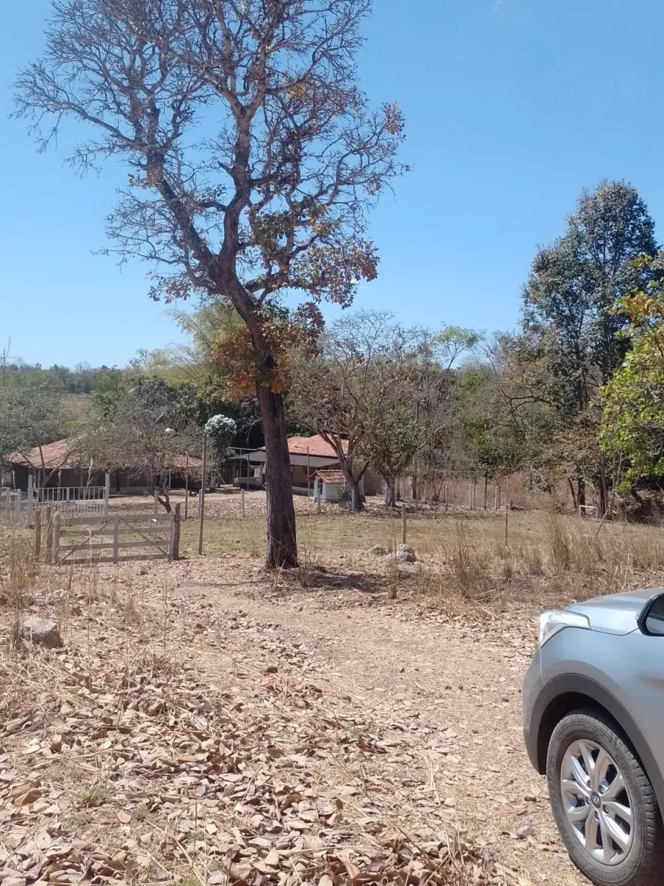 Foto 4 do imóvel