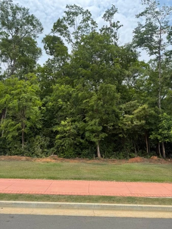 Lote Jardins França