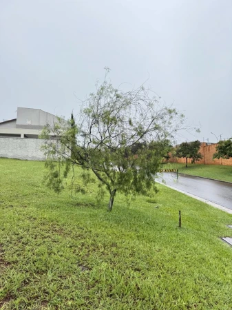 Lote Alphaville Araguaia