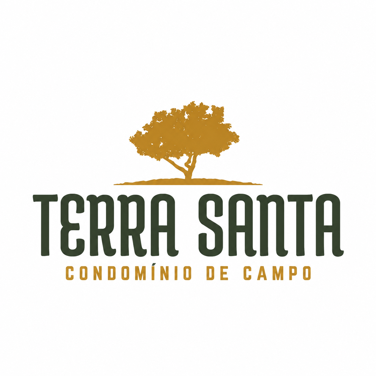 Terra Santa
