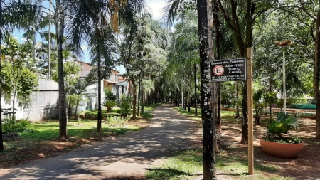 Setor Sul: projeto inicial que deu errado, mas criou um dos bairros mais charmosos de Goiânia