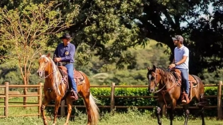 Goiás: fazenda milionária do jogador de futebol Lucas Silva