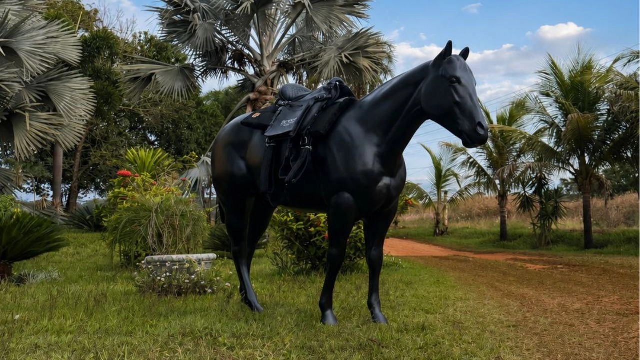 Cavalos chamam atenção em Goiânia e despertam curiosidade sobre novo empreendimento inspirado no lifestyle texano