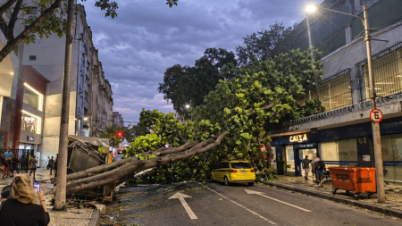 Risco climático pesa na escolha de 40% dos compradores