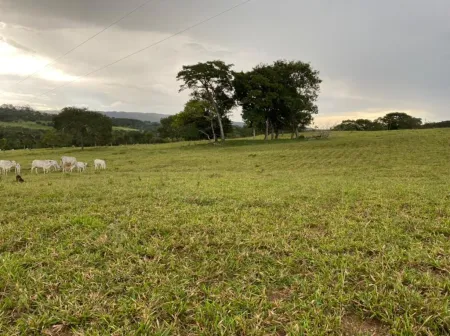 Chácara em Hidrolândia