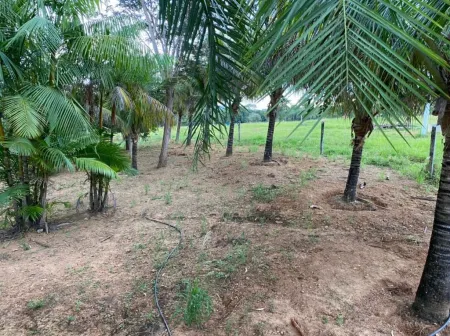 Chácara em Hidrolândia