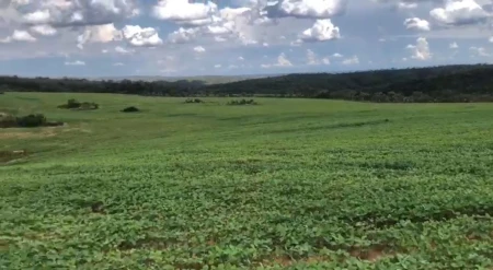 Fazenda Água Fria de Goiás