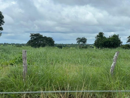 Fazenda em Mundo Novo
