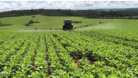 Fazenda em Água Fria de Goiás