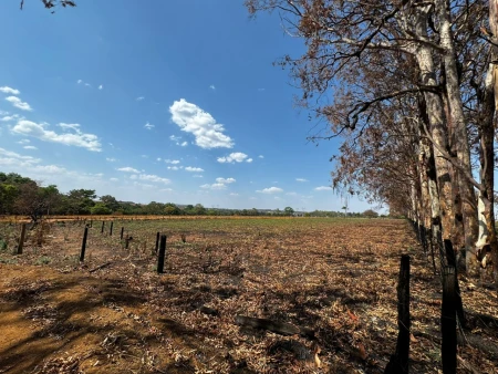 Chácara em Hidrolândia