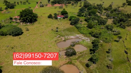 Fazenda em Araçu