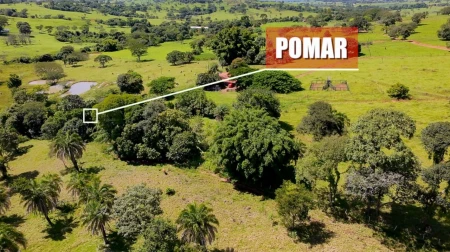 Fazenda em Araçu