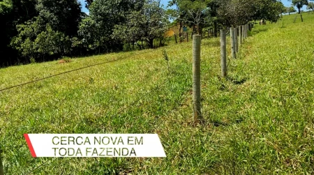 Fazenda em Araçu