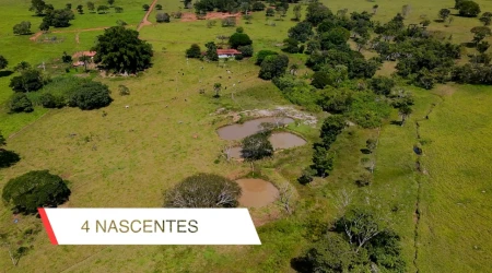 Fazenda em Araçu