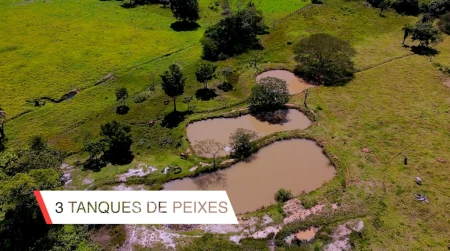 Fazenda em Araçu