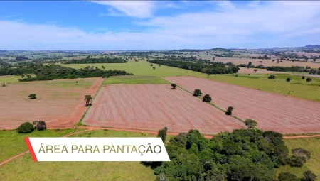 Fazenda em Araçu