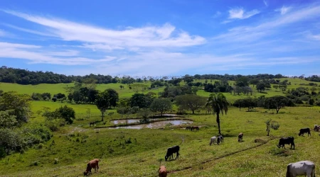 Fazenda em Araçu