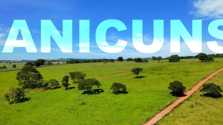 Fazenda em Araçu