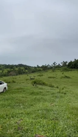 Fazenda Araçu 2