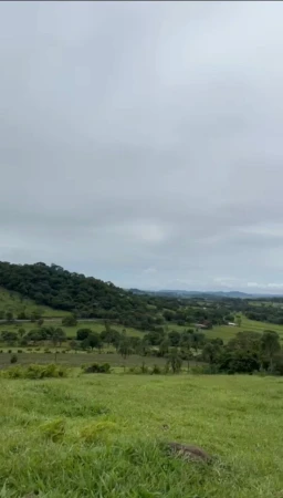 Fazenda Araçu 2