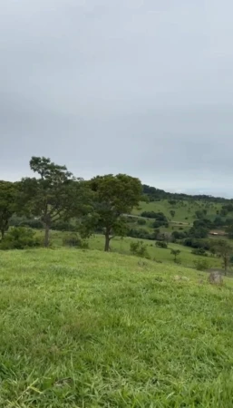 Fazenda Araçu 2