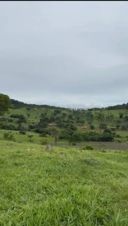 Fazenda Araçu 2