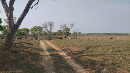 Fazenda em Mato Grosso do Sul