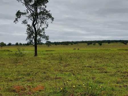 Fazenda em Mato Grosso do Sul