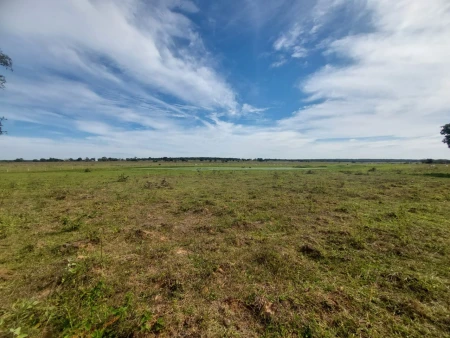 Fazenda em Mato Grosso do Sul