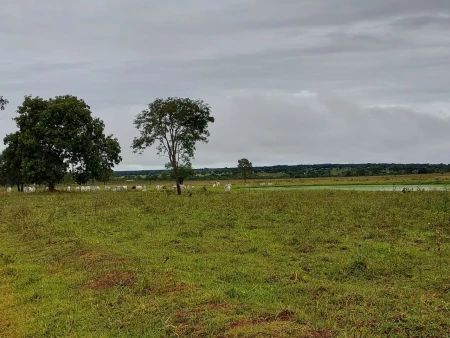 Fazenda em Mato Grosso do Sul
