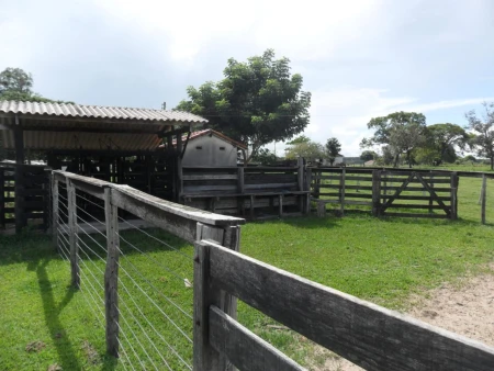 Fazenda em Mato Grosso do Sul