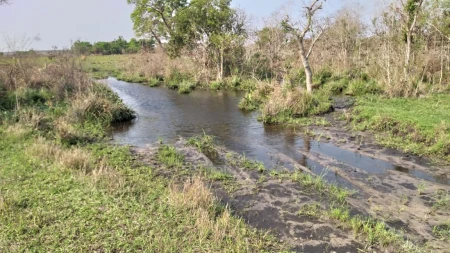 Fazenda em Mato Grosso do Sul