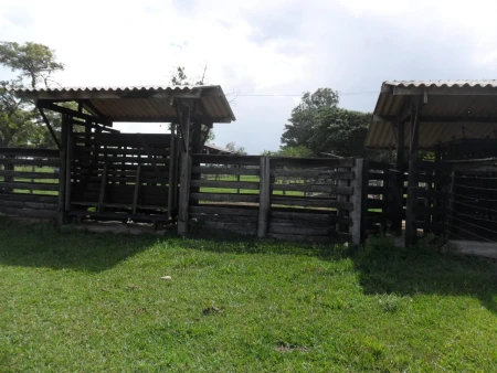 Fazenda em Mato Grosso do Sul