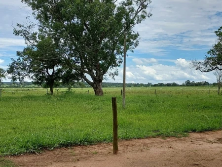 Fazenda em Mato Grosso do Sul