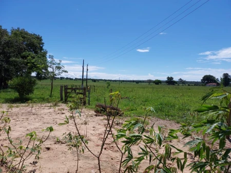 Fazenda em Mato Grosso do Sul