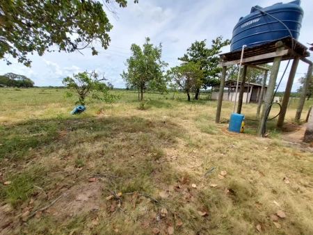 Fazenda em Mato Grosso do Sul