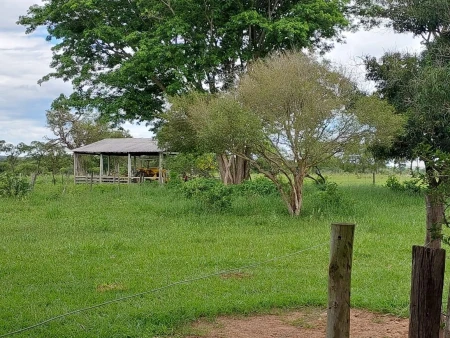 Fazenda em Mato Grosso do Sul