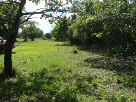 Fazenda em Mato Grosso do Sul