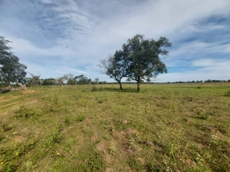 Fazenda em Mato Grosso do Sul