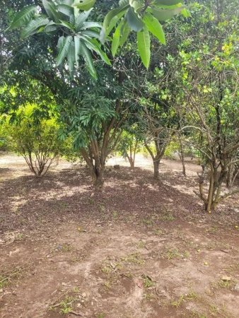 Chácara em Aragoiânia