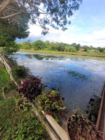 Chácara em Aragoiânia