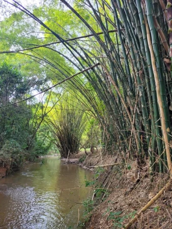 Chácara em Aragoiânia