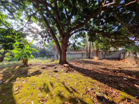 Área no Jardim Petropólis