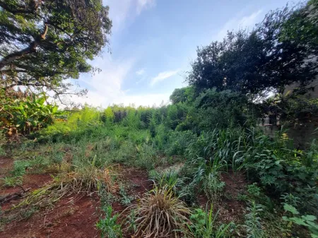 Área no Jardim Petropólis