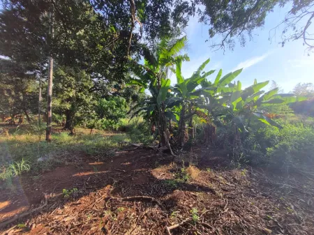 Área no Jardim Petropólis